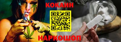 мдпв Кингисепп