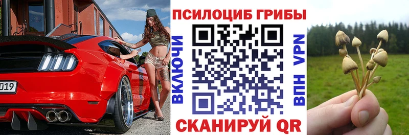 даркнет сайт  Кунгур  Галлюциногенные грибы Cubensis 