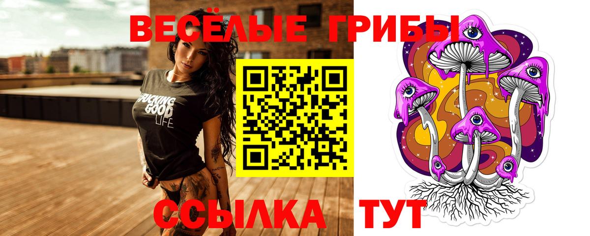 Галлюциногенные грибы прущие грибы Кунгур